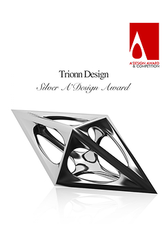 Silver Award - 1x
